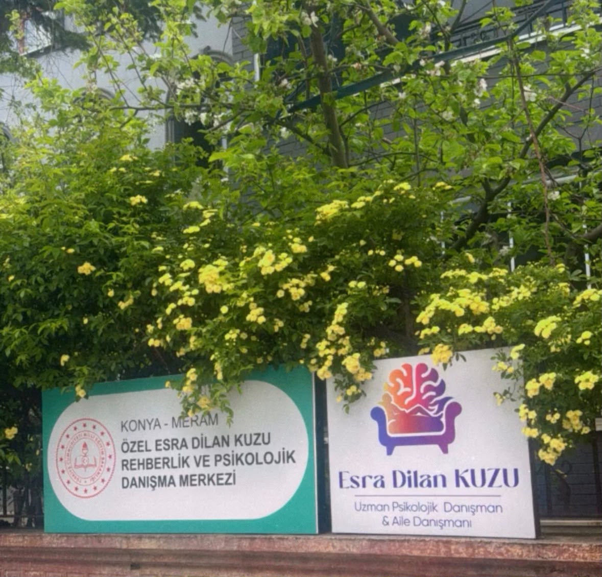 Merkez Girişi